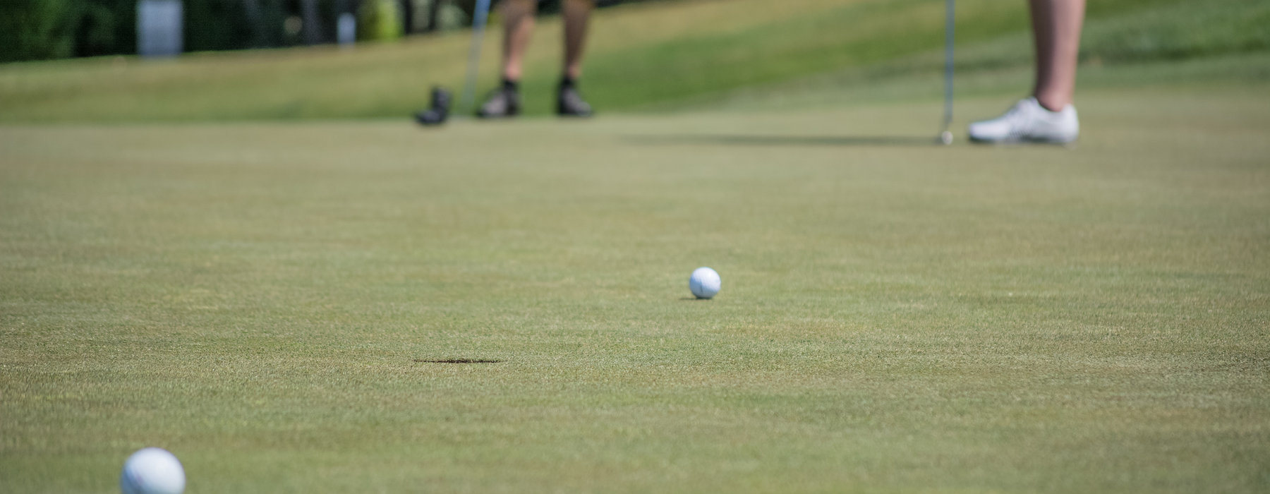 Dressing sand for golf courses